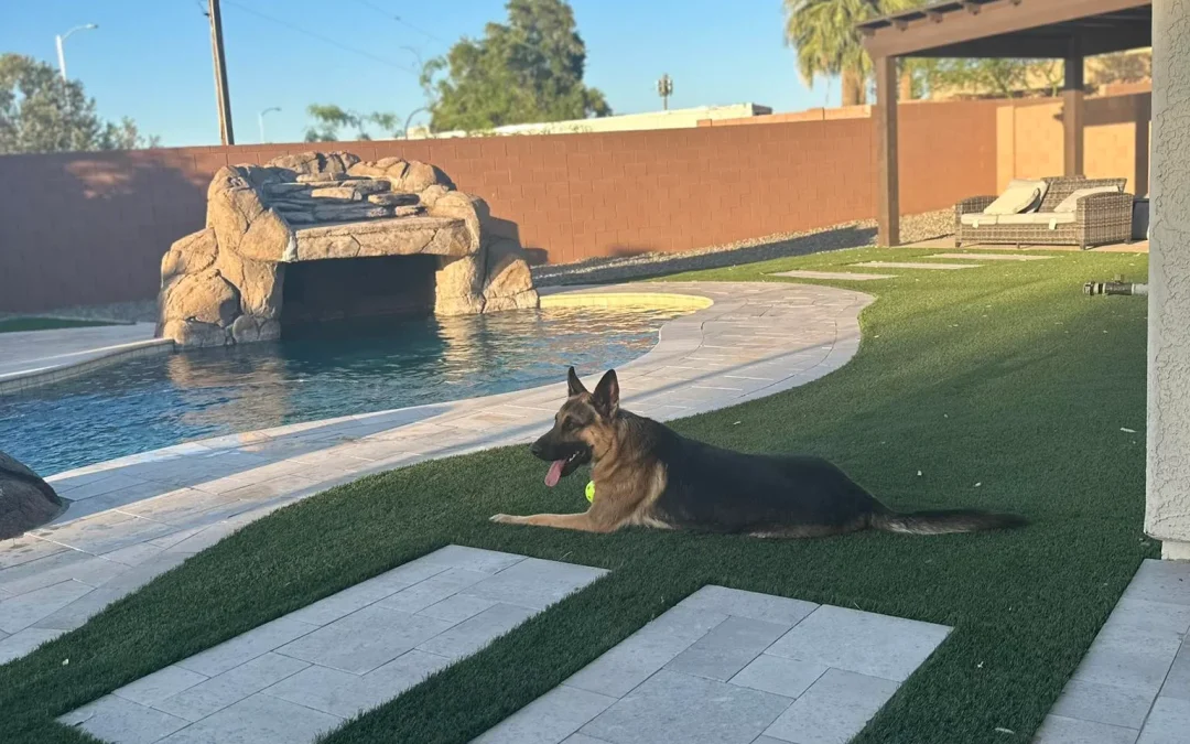 How Much Does Landscaping Cost in Phoenix? (2026 Pricing Guide)